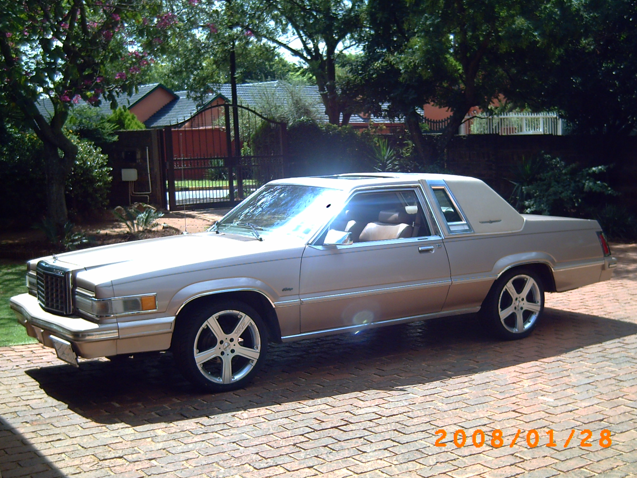 1981 Ford Thunderbird picture