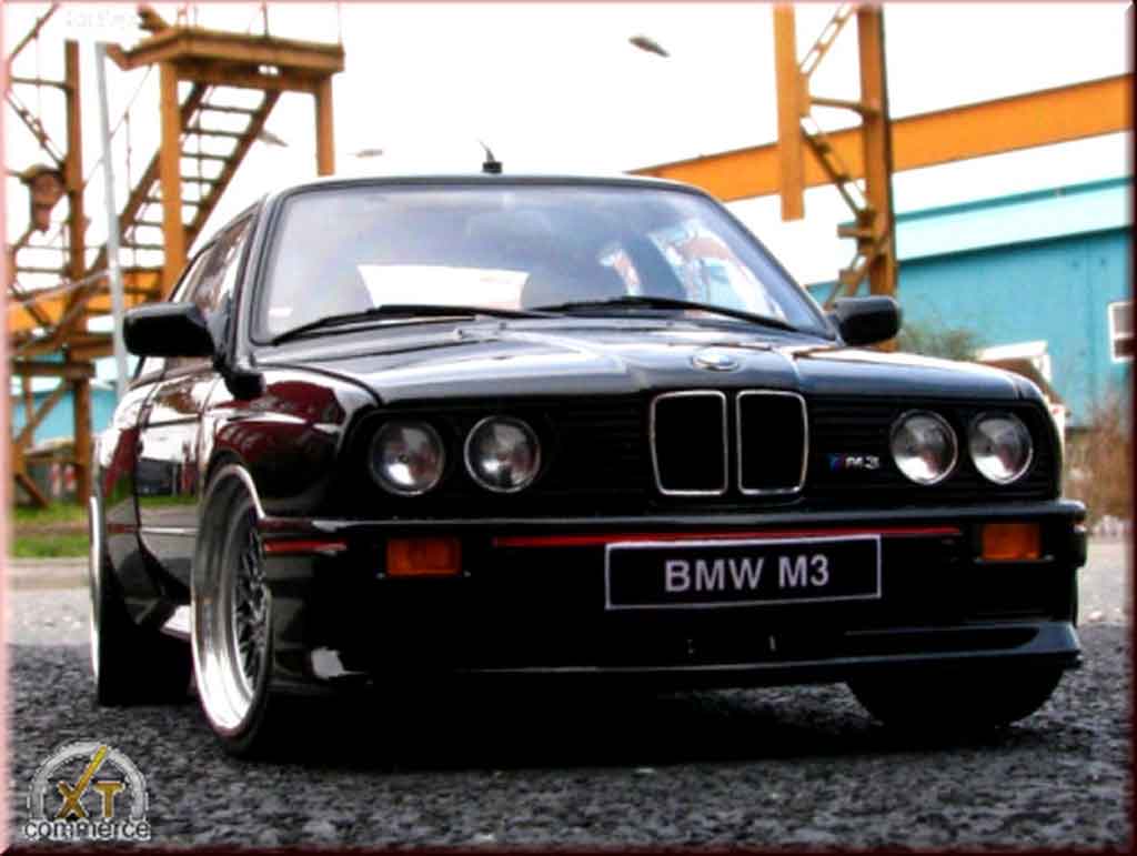 1988 BMW M3 Evolution picture