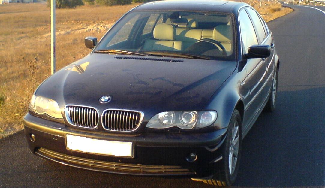 2004 BMW 316i picture