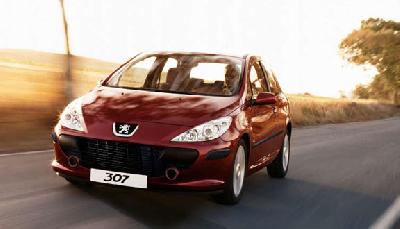 Peugeot 307 2.0 140 Tendance 2007 