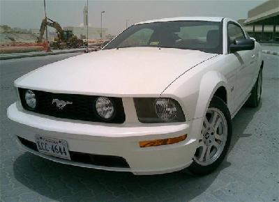 Ford Mustang GT Deluxe Coupe 2008 