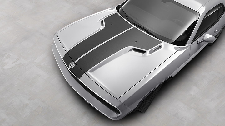 2010 Dodge Challenger RT picture