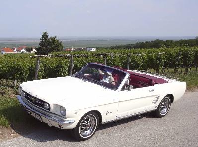 1964 Ford mustang specification #2