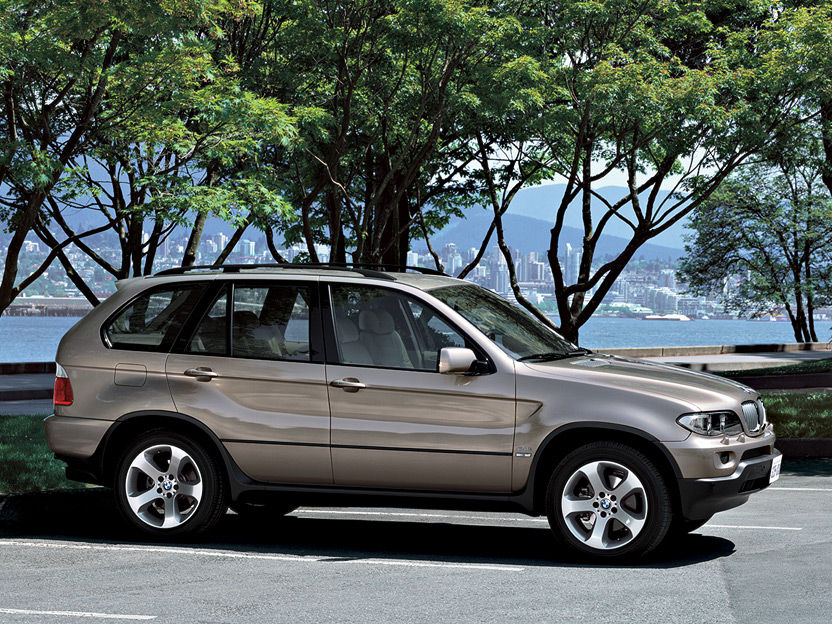 2006 BMW X5 4.8is picture