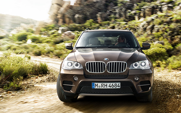 2010 BMW X5 3.0si picture