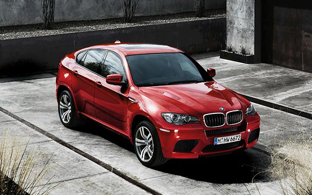 2011 BMW X6 picture